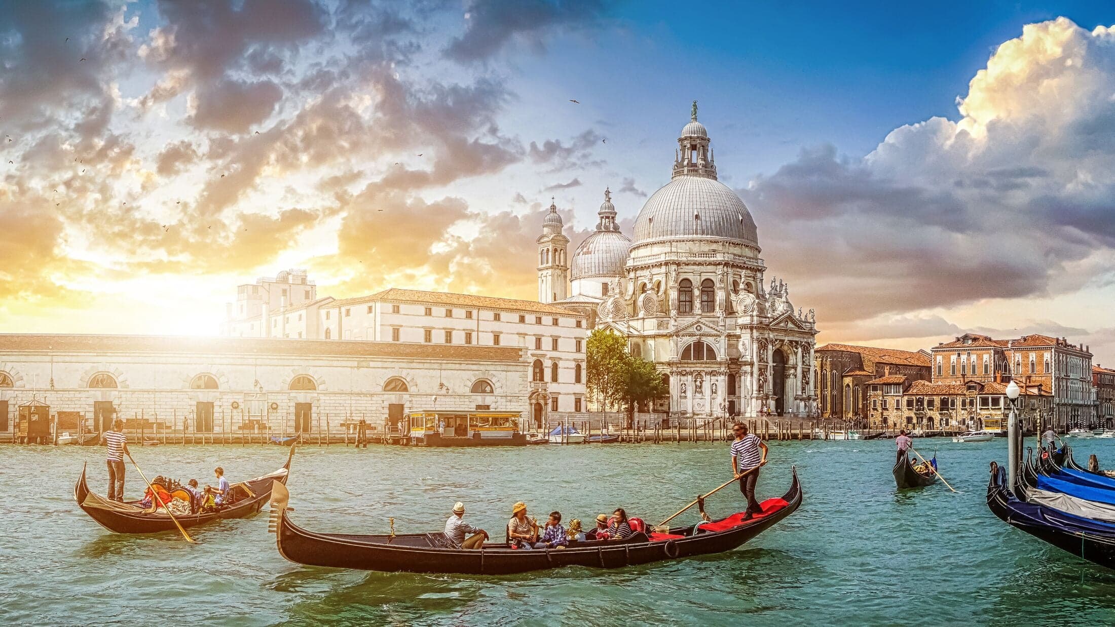 Venice - Italy Education